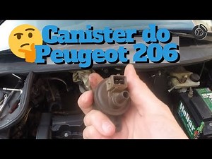 Problems with the canister on my Peugeot 206 🤔
