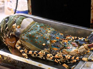 494K views · 7.7K reactions | Seafood Paradiese Bangkok! Amazing Seafood Market - Thai Street food | My Pub | Facebook