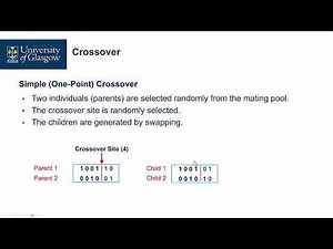 017 - Genetic Algorithms： GA Crossover and Mutation