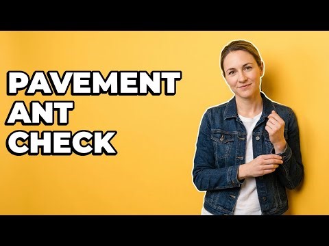 How To Identify Pavement Ants In My Home?