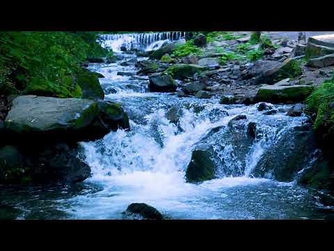 Calming Flowing Water, Mountain Stream. Relaxing Nature Sounds. 10 Hours, White Noise for Sleeping.
