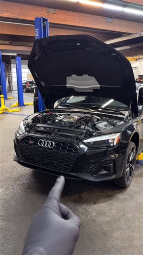 David Musiyenko on Instagram: "B9.5 S5 - Drivetrain Stiffening & Maintenance #audi #audisport #quattro #audigramm #audiquattro #cars #audilove #carsofinstagram #audis4 #audis5 #audisq5 #audirs5 #pnw @034motorsport @ben.trippin"