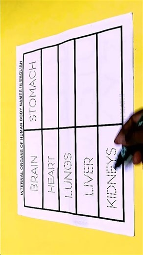 👉 Internal Organs of the Human Body | Learn Organs Name in English | #Shorts | Learn With Mathi