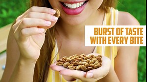 Honey Roasted Peanuts - 16oz Delicious Sweet and Salty Snacks Made with Real Honey and Roasted Nuts for Irresisitible Crunch, Great for Party Snacking, Gatherings - Plant-Based Protein