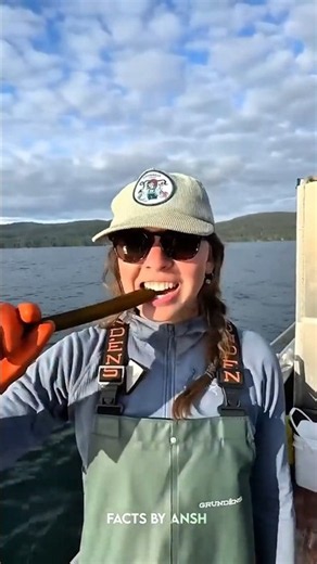 This Seaweed Is Actually Edible! 🌊😱 #shorts