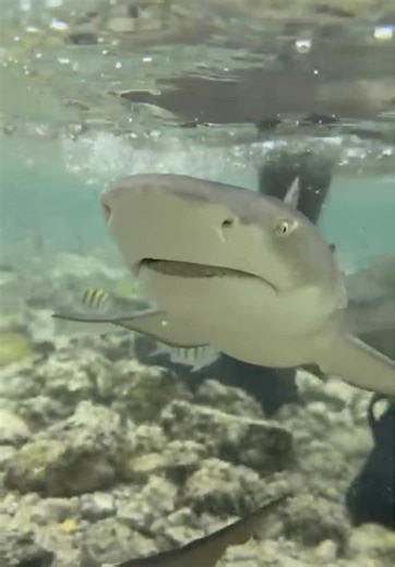 Exploring Sal, Cape Verde: A Chill Travel Recap