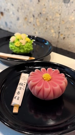 Allallboutjapan_ on TikTok