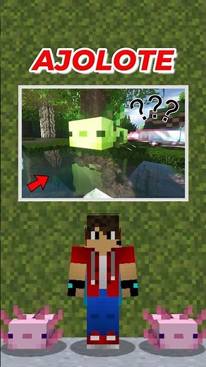 Weird things about axolotls in Minecraft that will surprise you