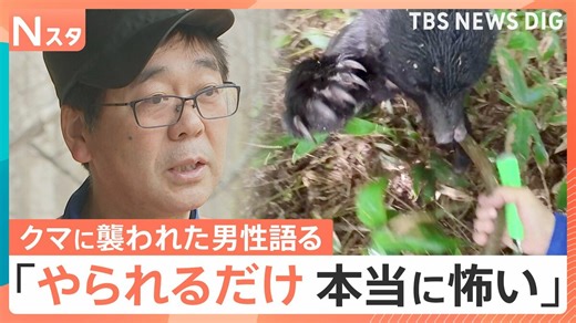 「小さいクマでも絶対に勝てない」襲われた男性が語った“恐怖と異変” 猛暑の影響でドングリが大凶作…被害者の大半が人里で襲撃 | TBS NEWS DIG
