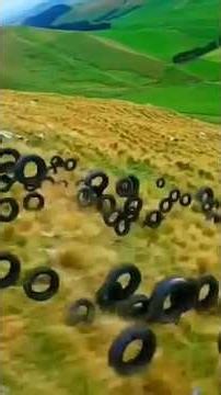 If you see a snake like a spring anywherethendon'tmistake it forbeingdeadand pickingitup inyourhands