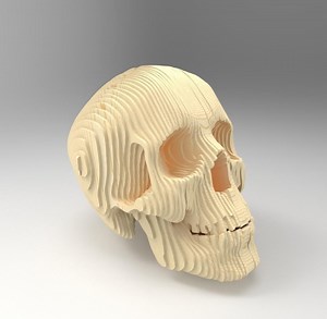 Human Skull Sculpture Vector Cutting Template, Cardboard Skull Sculpture, Anatomical Sculpture, Laser Cut Skull, Parametric, Cdr File - Etsy
