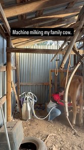 252 reactions · 16 comments | I’ve had a number of milk cows, and...