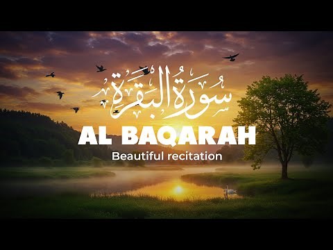 Surah Al-Baqarah | English Translation & Meaning Explained, By Sheikh Mishary Afasy