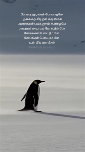 This one is dedicate for the penguin in you💪🏻 #viralshortsvideo #viralpenguin #penguinstory #pengu