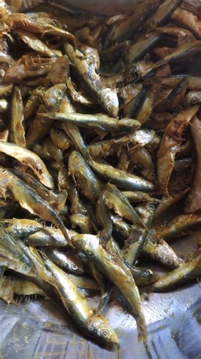 desi Machan 🐟#viral#food#video#shortvideos