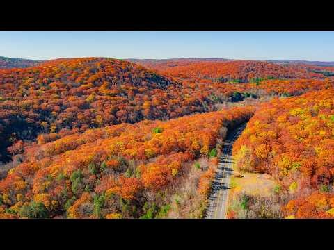 LIVE 24/7 New England Fall Foliage in 8K - Stunning Autumn Drone Views & Relaxing Music