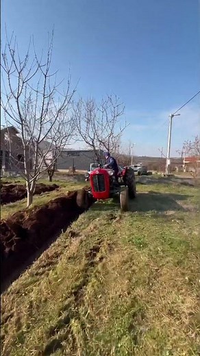 ORANJE *imt 533 deluxe*