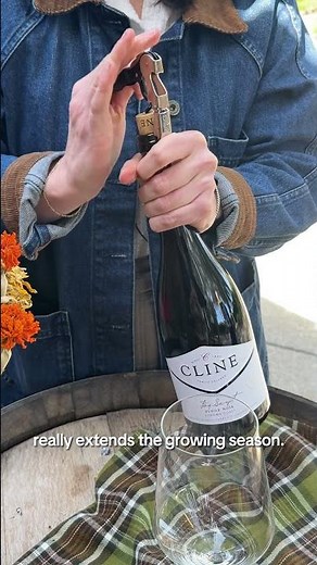 Learn About our Fog Swept Pinot Noir - Cline Family Cellars #wine