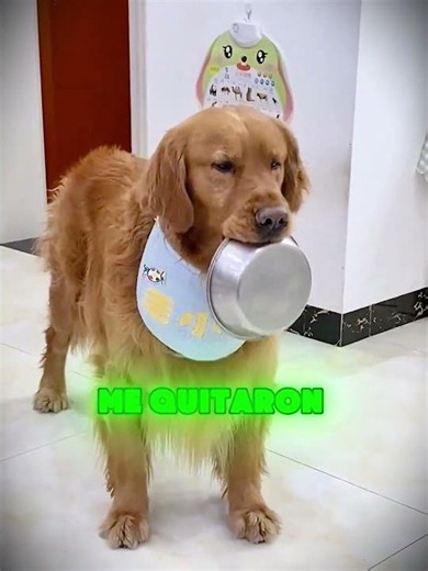 ¡Me quitaron la mesada! #Bromista
