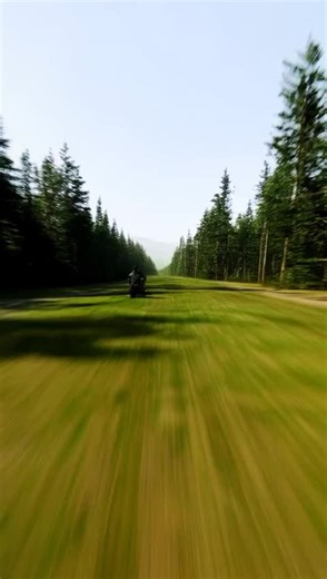 森の中をバイクで疾走する #高速 #風 #ストレス解消 #バイク