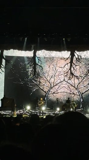 @Hozier #hozier #concert #livemusic #indiemusic #fyp | hozier live