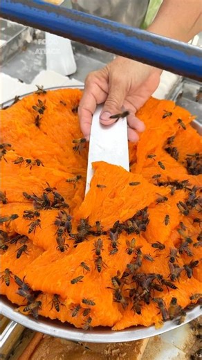 This Thai Bee Bread Looks Wild… but Tastes Amazing!