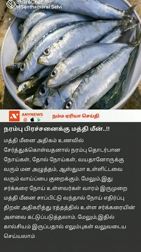 Mackerel Fish Display and Tamil News Insights