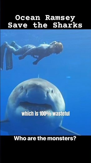 Ocean Ramsey 100 MILLION Sharks KILLED Each Year #sharks