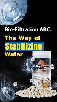 Aquarium Bio-filtration Explained: The Way of Stabilizing Water #aquarium #aquascape