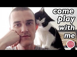 CAT BITING THE EAR ! LET’S GO PLAY !