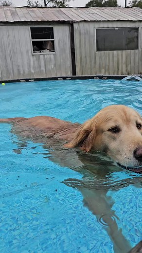 Kimberly Clark (@kimberlyclark78)’s videos with original sound - Kimberly Clark