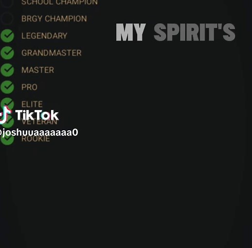 Achieving Goals as a CODM Player