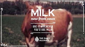 473K views · 1.8K reactions | If you’re looking for great milk taste, without making an extra trip or busting your budget, here’s a tip: try milk! | The Dairy Alliance | Facebook