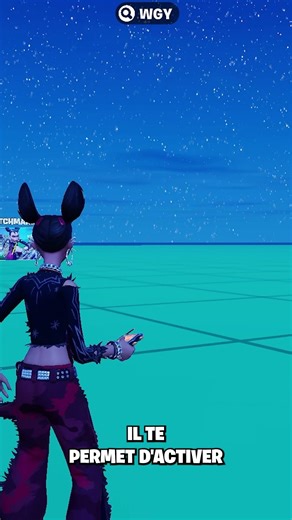 Comment Trouver Les Paramètres des Joueurs Pros Sur Fortnite ? #fortnite #wgy