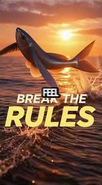 Fish Can Fly?! #geography #facts #viral