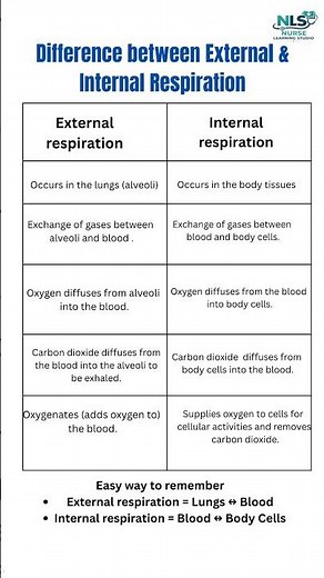 External vs internal respiration!