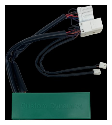 The Indian Larry Twisted Frame Chopper | J&P Custom Motorcycle Builds