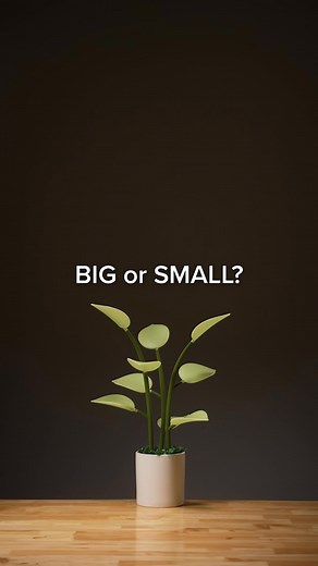 Meet Fluora - the most dynamic smart light in the world✨ 🧘 Soothing light to help you relax 🎵 Next generation interactivity to bring your music to life 🎨 Countless animations and colors to enhance your vibe Get yours while supplies last🔥 | Fluora