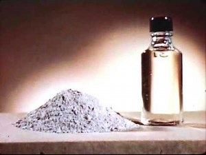 DDT How it Kills Bugs 1946