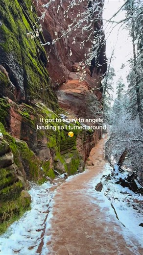 Zion Concierge on Instagram: "🏔 How to Hike Angels Landing 🏔 Angels Landing requires a permit — and spring dates are already filling up fast. 🎟 Option 1: Apply directly on recreation.gov 📅 Option 2: Book a guided hike — our partners have just released spring Angels Landing tours, and they will sell out. 👇 Save with these exclusive codes: • Zion Guru — Promo5zg (5% off) • Zion Guide Hub — ZGH5 (10% off) • Sundial Guides — zionconcierge (10% off) • Zion Adventures — zazc5 Plan ahead, secure y