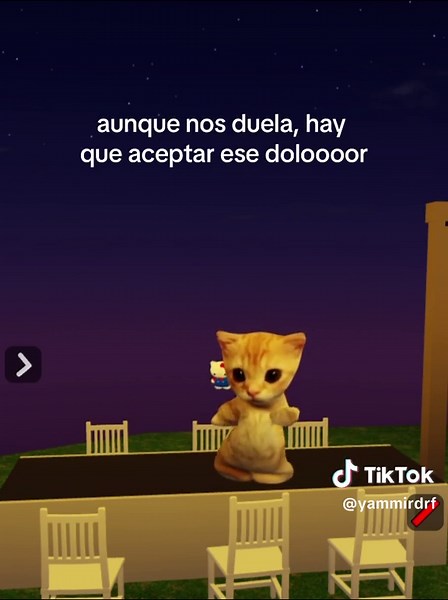 no puedo aceptar tu amoooor #roblox #gato #robloxito #humor #bachata #princeroyce