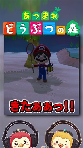 一番ほしかった☆ヘラクレスオオカブト！【あつまれどうぶつの森】#Shorts #あつ森