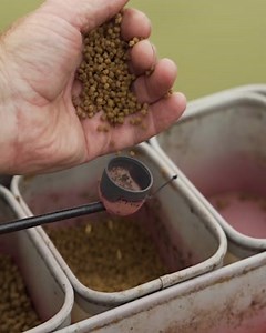 116 reactions · 6 comments | POLLY'S SUMMER TIPS!  朗 - We've got FIVE tips coming this week from Mark Pollard! Here's DAY ONE. Let us know what you think in the comments! | Fish Matrix | Facebook