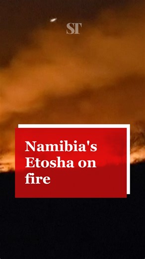A massive wildfire has burned about one-third of Namibia’s Etosha National Park, home to 114 mammal species, including the critically endangered black rhino. The blaze began on September 22 and spread fast on strong winds and dry fuel. The government has deployed hundreds of soldiers to help contain it. | The Sudan Times