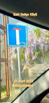 Eski Datça Köyü #datça #eskidatça #ilkbahar #springvibes #dailyvlog #villageroad #kasaba #trees
