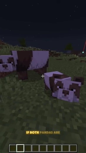 How to get a brown panda in Minecraft #minecraft