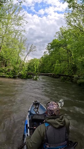 92K views · 810 reactions | How to successfully navigate a tree laying above and across the river with a keen eye for the room needed to clear the blockage. Awareness and an eye for gauging height are absolutely essential…not only for you and your kayak, but anything else attached to your watercraft. This is how it is done. #river #kayak #floatingtheozarks #ozarks #nature | Floating the Ozarks | Facebook