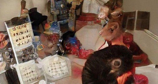 Name One Thing In This Photo | Know Your Meme