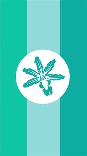 Health and Social Development | Government Priorities 2026-2028