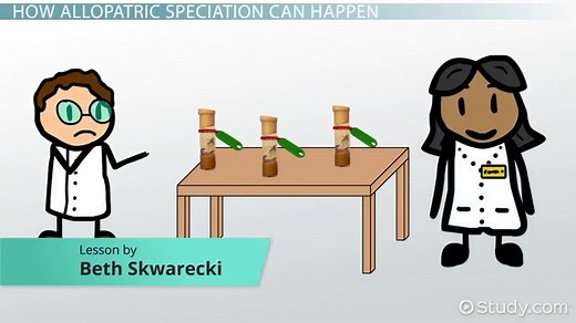 Allopatric Speciation | Definition, Process & Examples